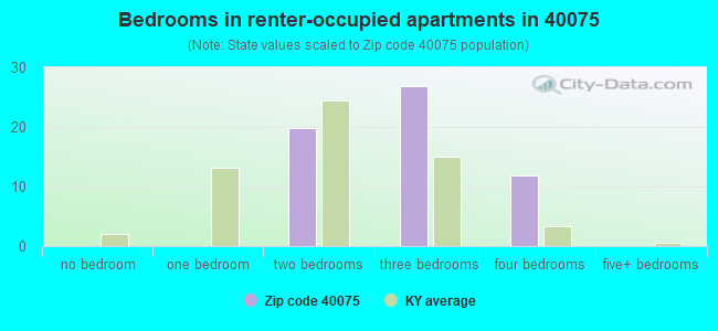 Bedrooms in renter-occupied apartments in 40075 