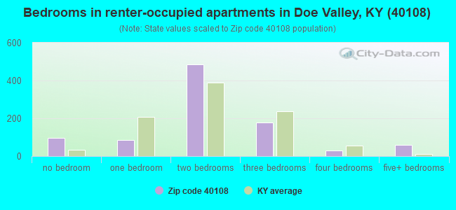 Bedrooms in renter-occupied apartments in Doe Valley, KY (40108) 