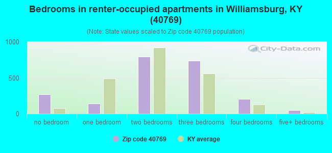 Bedrooms in renter-occupied apartments in Williamsburg, KY (40769) 