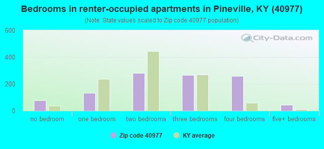 Bedrooms in renter-occupied apartments in Pineville, KY (40977) 