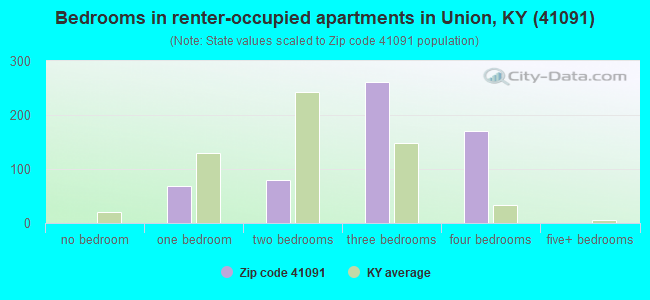 Bedrooms in renter-occupied apartments in Union, KY (41091) 