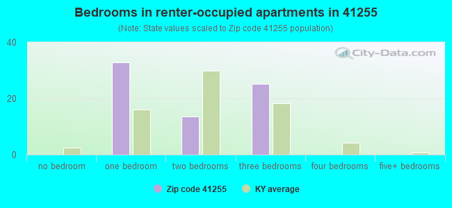 Bedrooms in renter-occupied apartments in 41255 