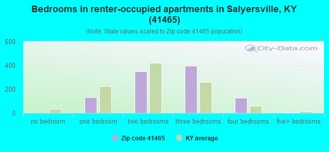 Bedrooms in renter-occupied apartments in Salyersville, KY (41465) 