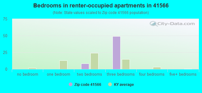 Bedrooms in renter-occupied apartments in 41566 