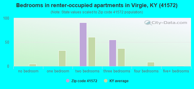 Bedrooms in renter-occupied apartments in Virgie, KY (41572) 