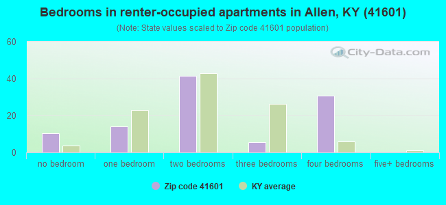 Bedrooms in renter-occupied apartments in Allen, KY (41601) 