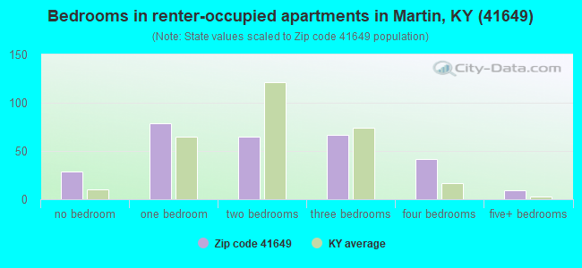 Bedrooms in renter-occupied apartments in Martin, KY (41649) 