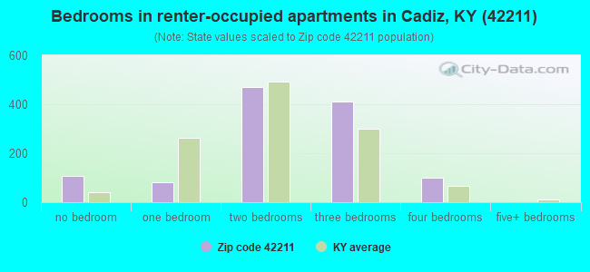 Bedrooms in renter-occupied apartments in Cadiz, KY (42211) 