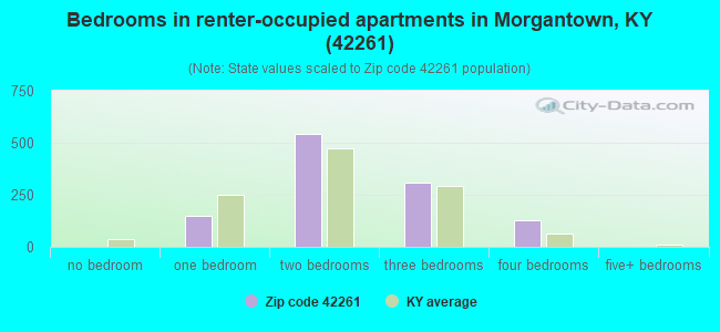 Bedrooms in renter-occupied apartments in Morgantown, KY (42261) 
