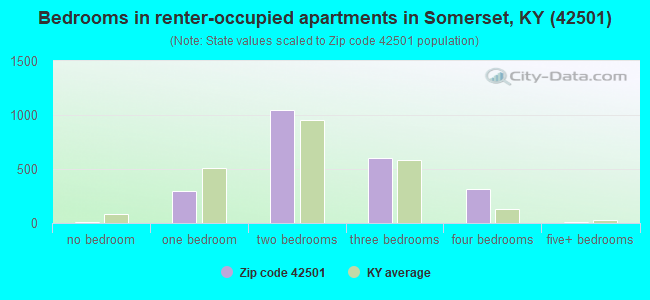 Bedrooms in renter-occupied apartments in Somerset, KY (42501) 