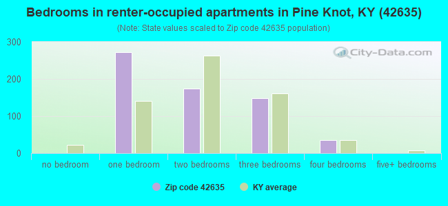 Bedrooms in renter-occupied apartments in Pine Knot, KY (42635) 