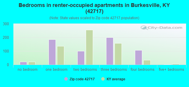 Bedrooms in renter-occupied apartments in Burkesville, KY (42717) 