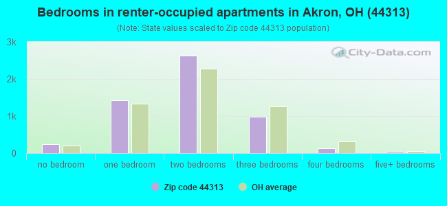 Bedrooms in renter-occupied apartments in Akron, OH (44313) 