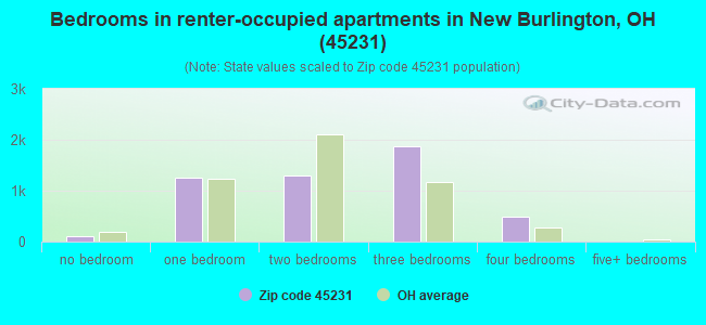 Bedrooms in renter-occupied apartments in New Burlington, OH (45231) 