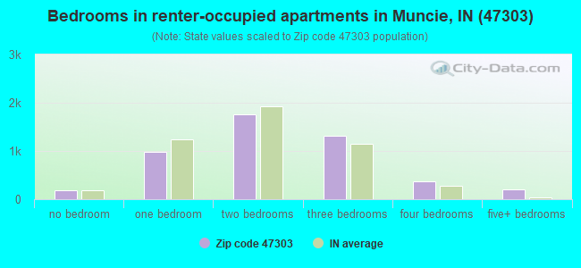 Bedrooms in renter-occupied apartments in Muncie, IN (47303) 