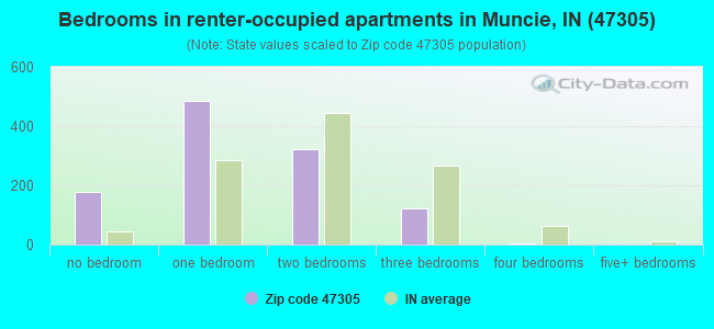 Bedrooms in renter-occupied apartments in Muncie, IN (47305) 