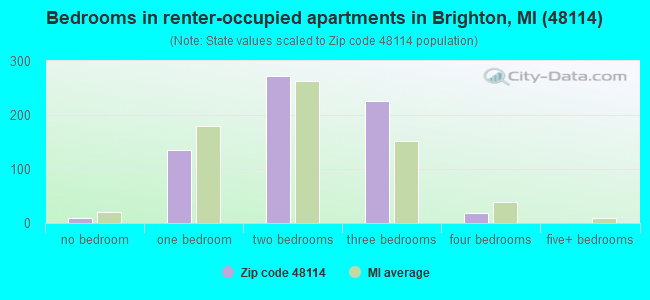 Bedrooms in renter-occupied apartments in Brighton, MI (48114) 