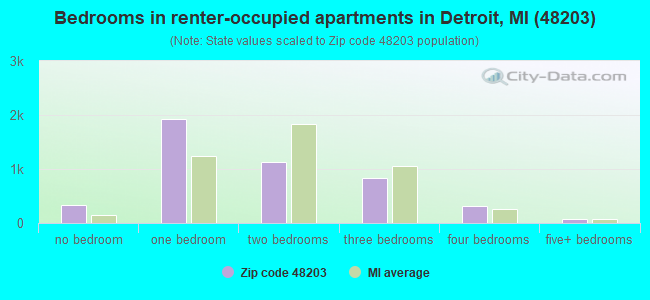 Bedrooms in renter-occupied apartments in Detroit, MI (48203) 