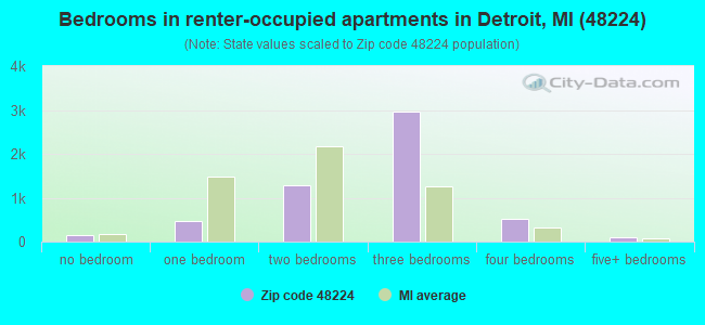 Bedrooms in renter-occupied apartments in Detroit, MI (48224) 
