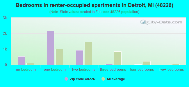 Bedrooms in renter-occupied apartments in Detroit, MI (48226) 
