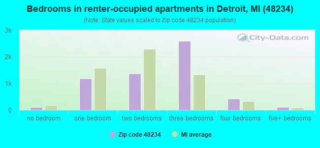 Bedrooms in renter-occupied apartments in Detroit, MI (48234) 