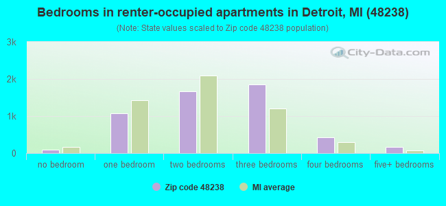 Bedrooms in renter-occupied apartments in Detroit, MI (48238) 
