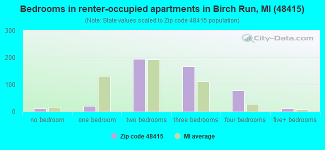 Bedrooms in renter-occupied apartments in Birch Run, MI (48415) 