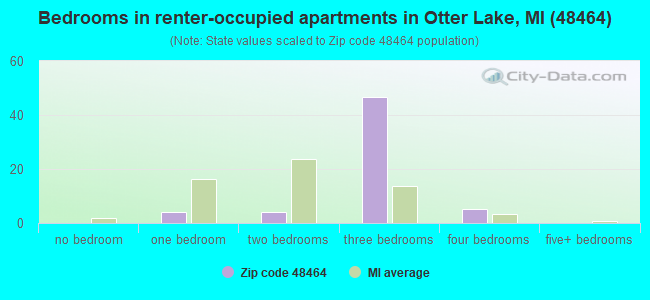 Bedrooms in renter-occupied apartments in Otter Lake, MI (48464) 