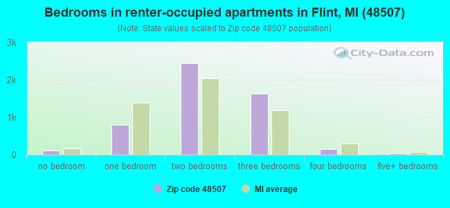 Bedrooms in renter-occupied apartments in Flint, MI (48507) 