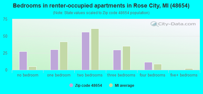 Bedrooms in renter-occupied apartments in Rose City, MI (48654) 