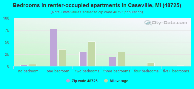 Bedrooms in renter-occupied apartments in Caseville, MI (48725) 