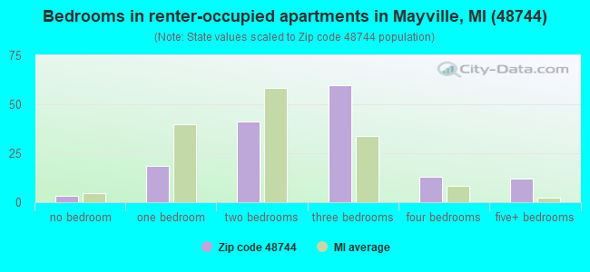 Bedrooms in renter-occupied apartments in Mayville, MI (48744) 