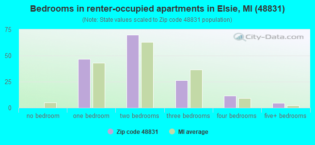 Bedrooms in renter-occupied apartments in Elsie, MI (48831) 
