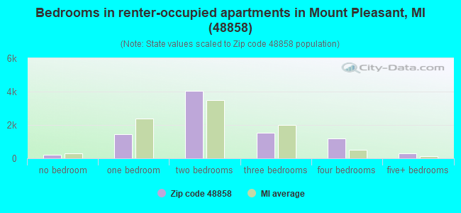 Bedrooms in renter-occupied apartments in Mount Pleasant, MI (48858) 