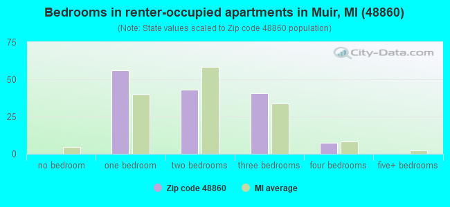 Bedrooms in renter-occupied apartments in Muir, MI (48860) 