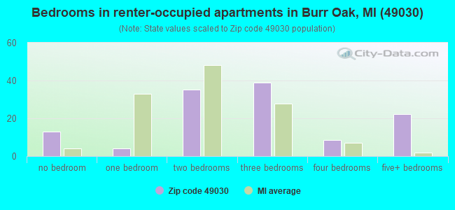 Bedrooms in renter-occupied apartments in Burr Oak, MI (49030) 