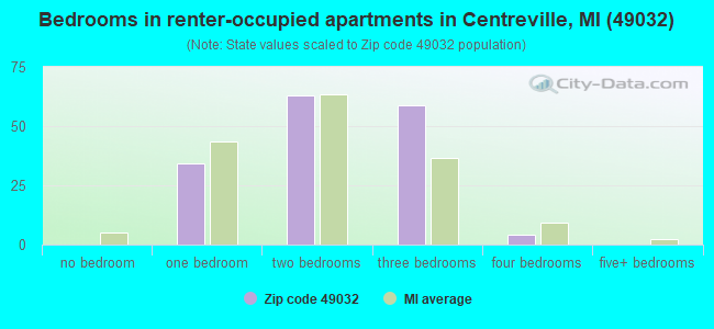 Bedrooms in renter-occupied apartments in Centreville, MI (49032) 