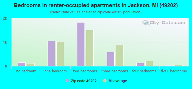 Bedrooms in renter-occupied apartments in Jackson, MI (49202) 