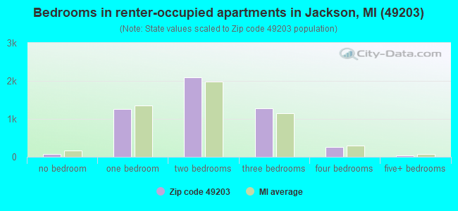 Bedrooms in renter-occupied apartments in Jackson, MI (49203) 