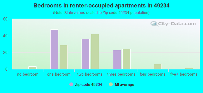 Bedrooms in renter-occupied apartments in 49234 