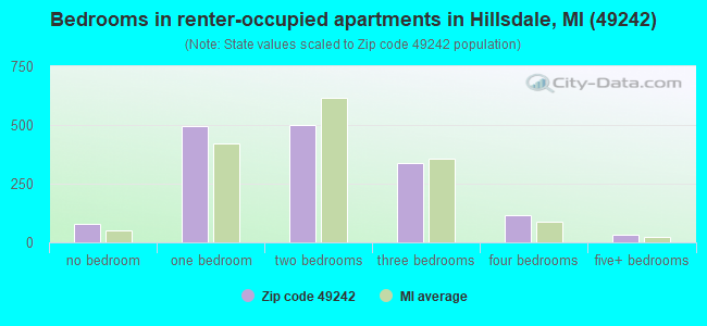 Bedrooms in renter-occupied apartments in Hillsdale, MI (49242) 