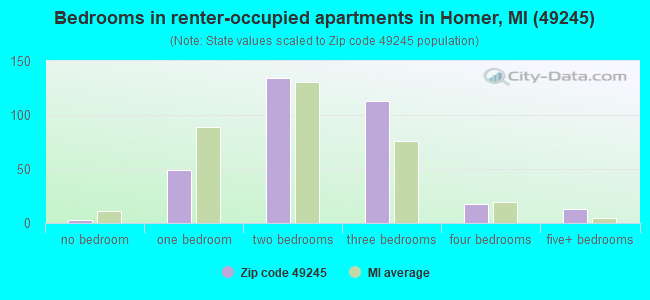 Bedrooms in renter-occupied apartments in Homer, MI (49245) 