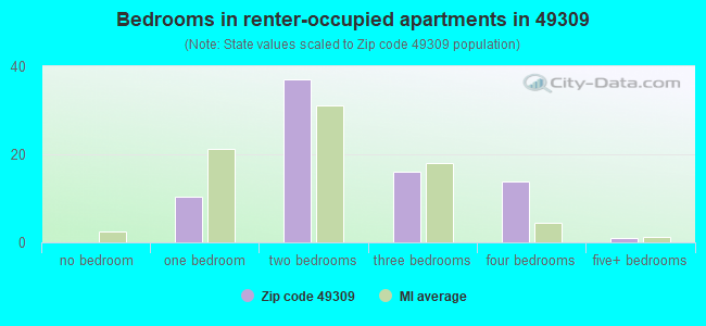 Bedrooms in renter-occupied apartments in 49309 
