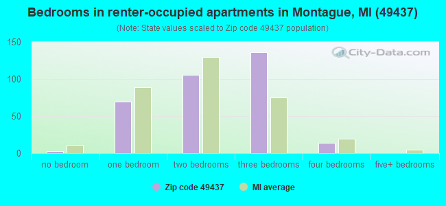 Bedrooms in renter-occupied apartments in Montague, MI (49437) 