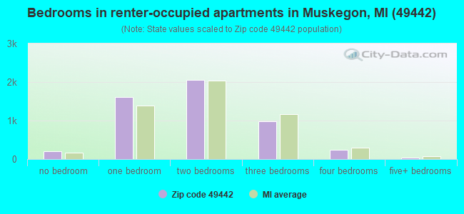 Bedrooms in renter-occupied apartments in Muskegon, MI (49442) 