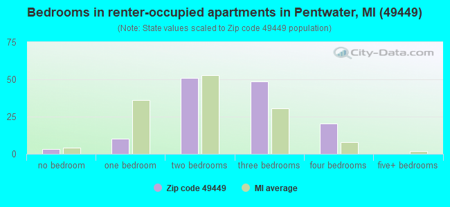 Bedrooms in renter-occupied apartments in Pentwater, MI (49449) 