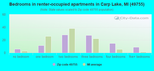 Bedrooms in renter-occupied apartments in Carp Lake, MI (49755) 