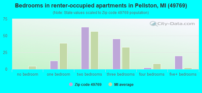 Bedrooms in renter-occupied apartments in Pellston, MI (49769) 