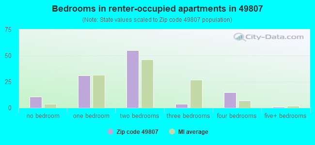 Bedrooms in renter-occupied apartments in 49807 
