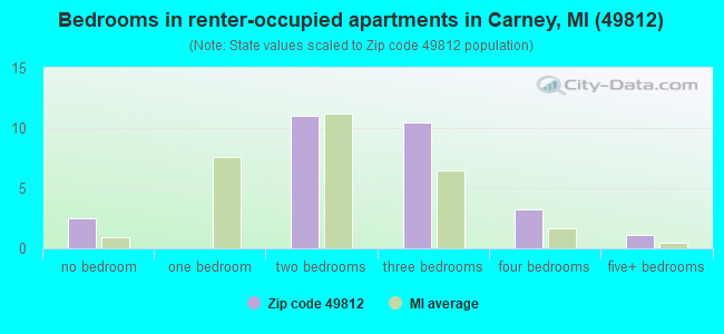 Bedrooms in renter-occupied apartments in Carney, MI (49812) 